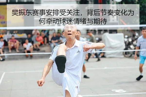 樊振东赛事安排受关注，背后节奏变化为何牵动球迷情绪与期待